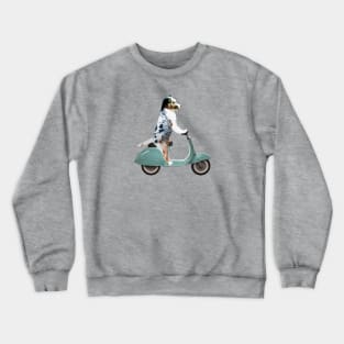 Australian Shepherd on a Scooter Funny Crewneck Sweatshirt